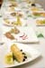 f64_pavari_110310_013
